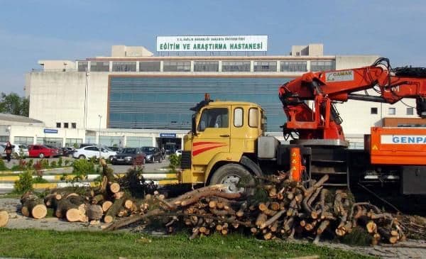 Yeni hastane binası için 100 ağaç kesildi 