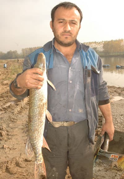 Sakarya Nehri'nde Çevre Katliamı Yaşanıyor