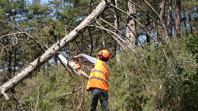 Kursiyerlere ormanda uygulamalı eğitim