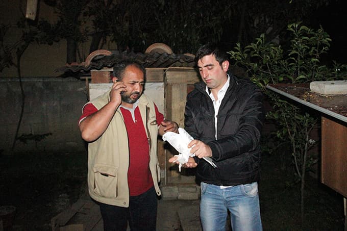 Güvercin Sevenler Derneği başkanının güvercinleri çalındı