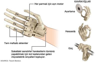 <p><font face="arial,helvetica,sans-serif" size="2"><font color="#333399">Touch Bionics</font> firmasının idari şefi Stuart Mead, biyonik elin tanınmasını &ccedil;ok b&uuml;y&uuml;k bir başarı olarak nitelendirdi. Mead, &quot;Time dergisi tarafından yılın icatlarından biri olarak tanınmaktan &ccedil;ok memnun olduk. Bu her yenilik&ccedil;i şirket i&ccedil;in ger&ccedil;ek bir gurur kaynağı&quot; dedi. </font></p><p><font face="arial,helvetica,sans-serif" size="2">Time'ın bu haberini hayretle okuduktan sonra buna ilham kaynağı olan insan elinin m&uuml;kemmelliği daha da &ouml;ne &ccedil;ıkıyor. Ve elin mucidini g&ouml;zmezden gelmek g&uuml;&ccedil;leşiyor. </font></p>