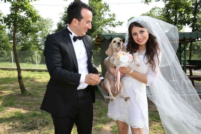 Mutluluklarını ilk sokak köpekleriyle paylaştılar