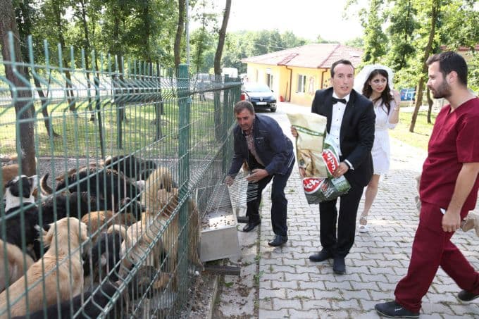 Mutluluklarını ilk sokak köpekleriyle paylaştılar