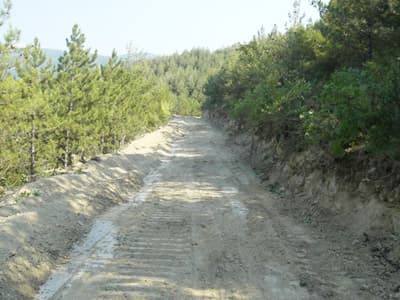 Orman Yolları İçin Büyük Harcama Yapıldı