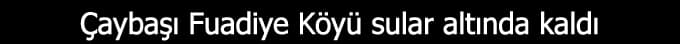 Şehir su altında kaldı