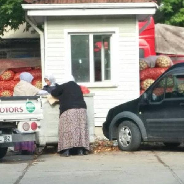 Haldeki çöp konteynerinde yenilebilecek patates arıyorlar