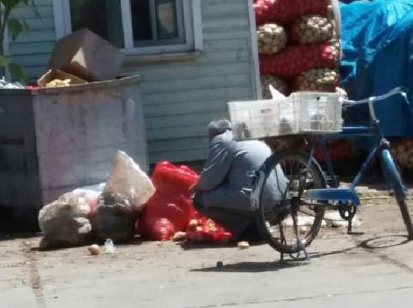 Haldeki çöp konteynerinde yenilebilecek patates arıyorlar