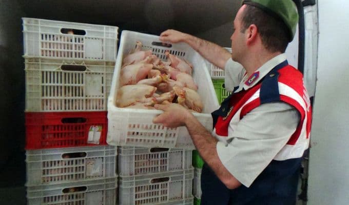 Kaçak tavuk kesimi yapanlara operasyon
