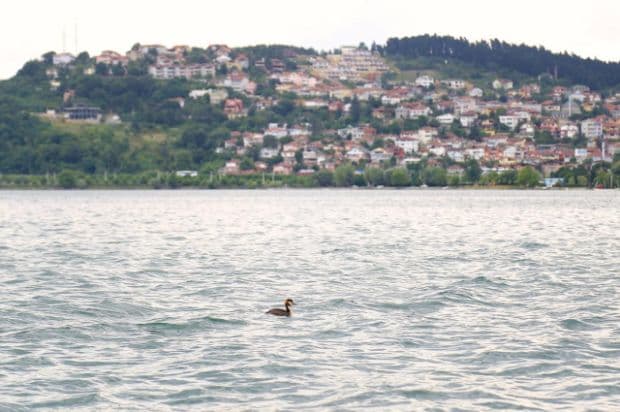 Sapanca Gölü, eski günlerine geri döndü