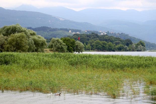 Sapanca Gölü, eski günlerine geri döndü