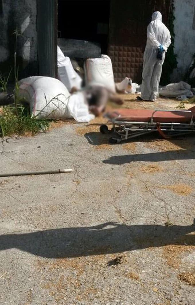 Hindi çiftliğinde feci ölüm!