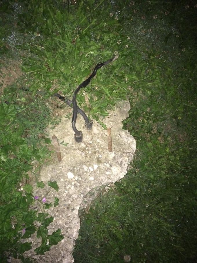 Açık bırakılan kablo, canından ediyordu