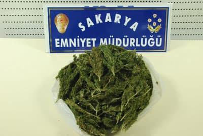 1 Kilo 100 Gram Esrar Ele Geçirildi