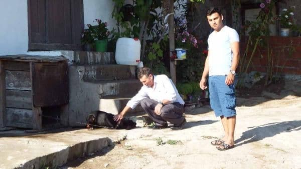 Köpeğini vuran imamı şikayet edince işinden oldu