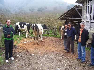 <strong><font face="Arial" size="2">K&ouml;yl&uuml; &Ccedil;aresiz Durumda</font></strong> <p><font face="Arial" size="2">Topaloğlu, <font color="#333399">&quot;K&ouml;yl&uuml;lerin bir &ccedil;oğu aldıkları hayvanların parasını &ouml;deyemedi. Bazı k&ouml;yl&uuml;ler bu yıl fındıktan elde edeceği gelirle borcunu &ouml;demeyi taahh&uuml;t etmişti. Ancak fındık fiyatları d&uuml;ş&uuml;k olunca &ouml;deyemediler. Bu kişilere 3 ay hapis cezası &ccedil;ıktı. K&ouml;yl&uuml; &ccedil;aresiz durumda. K&ouml;yl&uuml;ler hayvanları alırken birbirlerine kefil oldular. Kişi kendi borcunu &ouml;demiş. Ancak kefil olduğu kişi &ouml;deme yapamayınca onada icra gelmiş. Bir &ccedil;ok kişinin emekli maaşına haciz kondu. K&ouml;yl&uuml; haciz kararlarının gelecek fındık sezonuna kadar durdurulmasını istiyor.&quot;</font> diye konuştu.</font></p><p><font face="arial,helvetica,sans-serif" size="2">Devlet destekli kredi borcu alan Ertan K&ouml;se (42), kendi taksitlerini &ouml;dediğini ancak kefil olduğu kişinin borcunu &ouml;deyememesinden dolayı icralık olduğunu ifade etti. <br /><br /><strong><font color="#000000">Aldığımız Hayvanların Bazıları Hastalandı</font></strong></font></p><p><font face="arial,helvetica,sans-serif" size="2">Hayvancılık yapmak i&ccedil;in devlet destekli kredi ile hayvan aldıklarını dile getiren K&ouml;se, şunları s&ouml;yledi, <font color="#333399">&quot;Bu krediyi alırken k&ouml;yl&uuml; halkı olarak birbirimize kefil olduk. Fındık fiyatının d&uuml;şmesi ve de fındık &uuml;retiminde kullanılan g&uuml;bre ve mazot fiyatının y&uuml;kselmesi bizi zora soktu. Aldığımız hayvanların bazıları hastalandı. S&uuml;tten verim alamadık ve s&uuml;tte para etmedi. Bu nedenle &ccedil;ok sayıda kişi aldıkları hayvanın parasını &ouml;deyemedi. Zor durumdayız.&quot;</font></font></p>