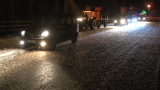 Milyonlarca 'birgün' sineğinin 'ölümle dansı' başladı