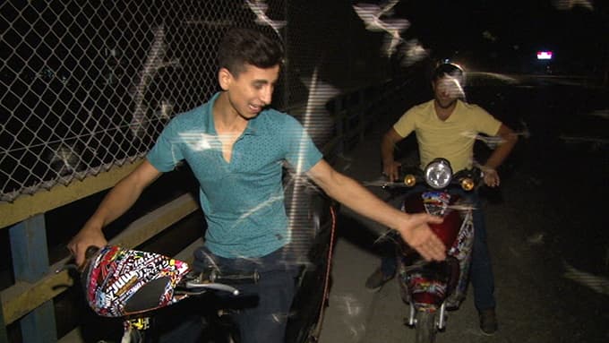 Milyonlarca 'birgün' sineğinin 'ölümle dansı' başladı
