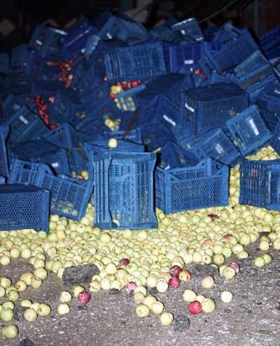 Devrilen Kamyondaki Elmalar Yola Saçıldı