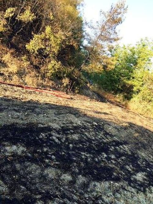 Taraklı'da korkutan yangın