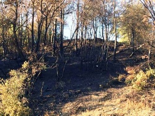 Taraklı'da korkutan yangın