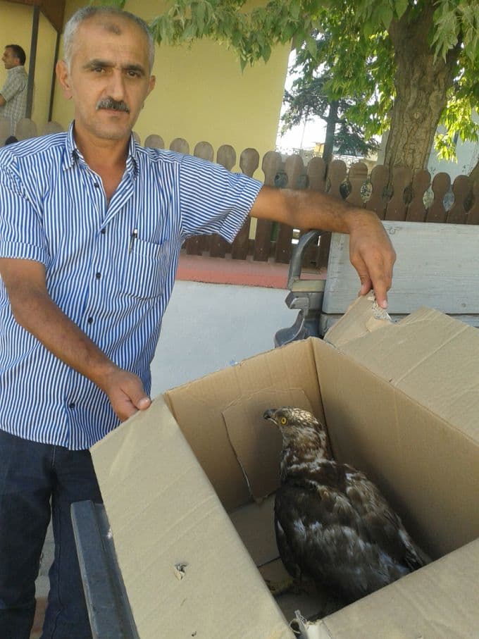 Ormanlık alanda, yaralı halde buldular