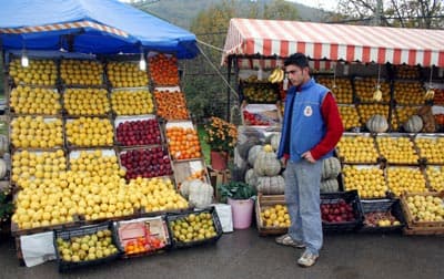 Avrupalılar, Ayvayı Türkiye'den Yiyiyor