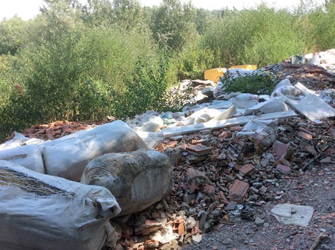 Sakarya Nehri kıyısı temizleniyor