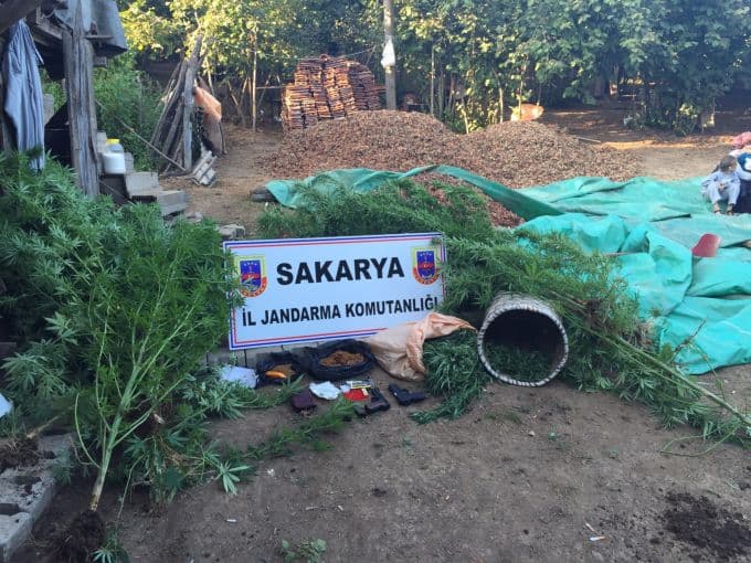 Jandarmadan zehir tacirlerine baskın