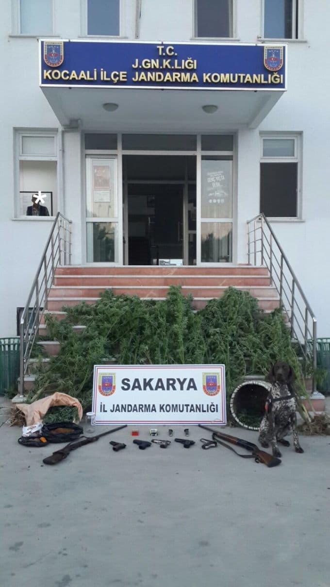 Jandarmadan zehir tacirlerine baskın
