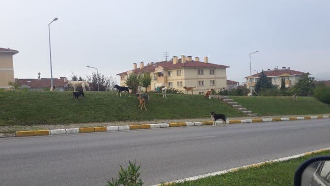 Bu şikayet takipçimizden geldi