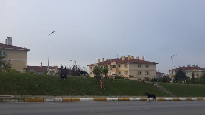 Bu şikayet takipçimizden geldi