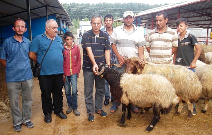 'Vatandaş ekonomik sıkıntıdan küçükbaş kurbana yöneldi'
