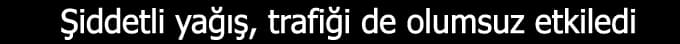 <font face="arial,helvetica,sans-serif" size="2"><br /></font>