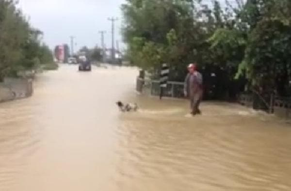 Sakarya sele teslim!