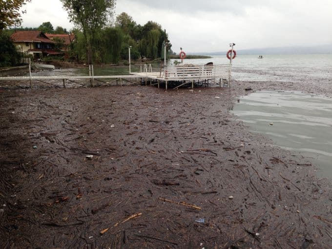 Sakarya sele teslim!