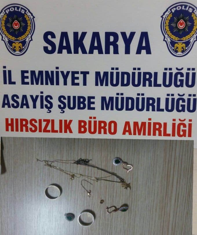İstanbul'dan gelip Sakarya'da hırsızlık yaptılar