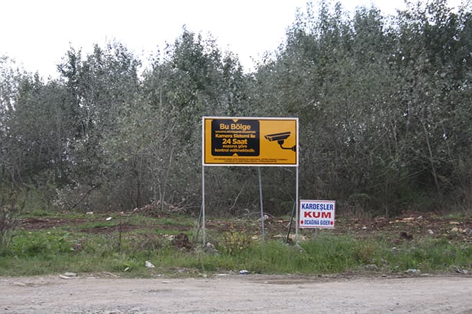 Kelleler kıyıya vurdu
