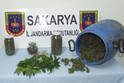 Evlerinde Esrar Ele Geçirilen 4 kişi Tutuklandı