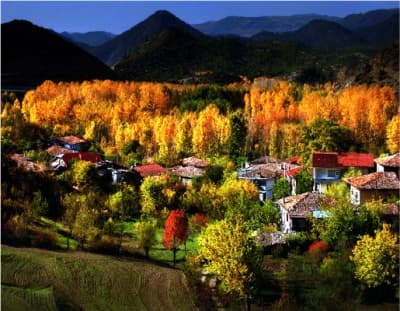 Fotomaraton Yarışmasında Birinci Belli Oldu
