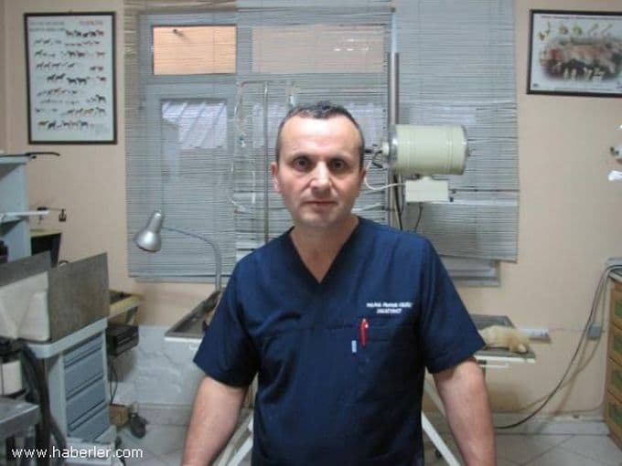 "Bir taraf açlıktan, diğer taraf da çok yemekten ölüyor"