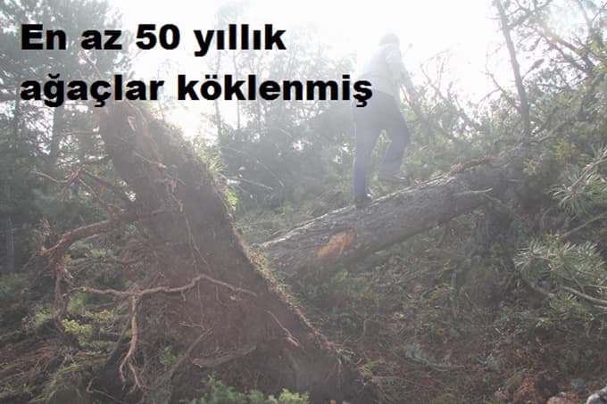 Yine Pamukova yine katliam