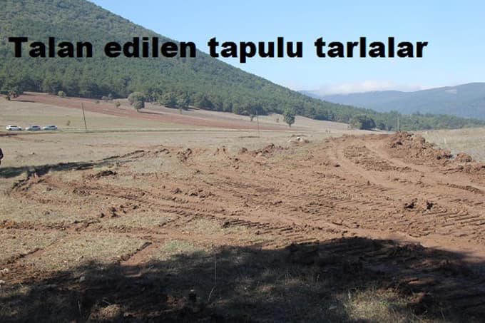 Yine Pamukova yine katliam