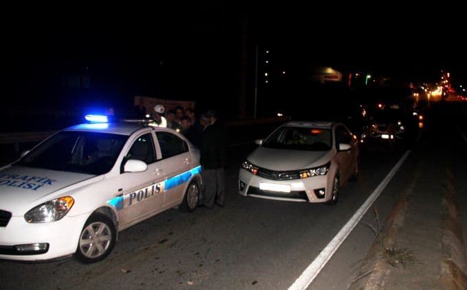 Otomobilin çarptığı at, telef oldu