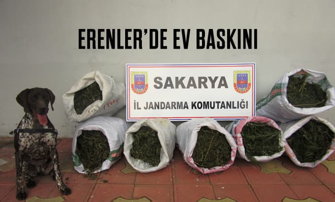 Erenler'de 27 kilo esrar ele geçirildi