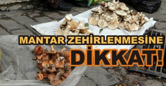 Kaynarca'da 3 kişi yedikleri mantardan zehirlendi