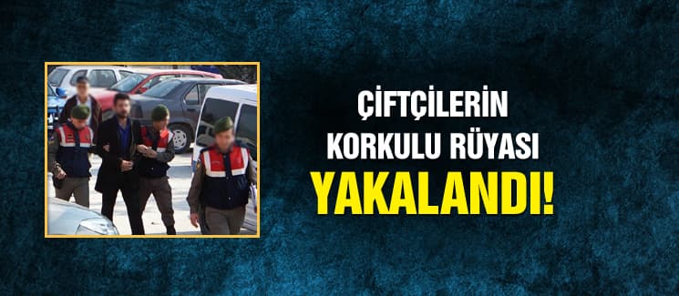 Çiftçilerin korkulu rüyası yakalandı