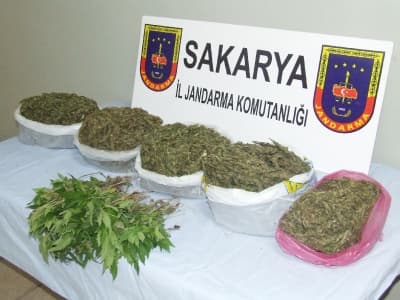 5 Uyuşturucu Taciri Çıkarıldıkları Mahkemece Tutuklandı
