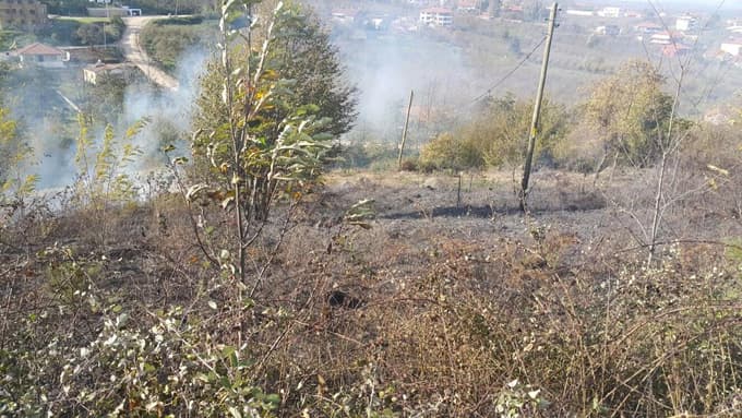Çıkan yangında yaklaşık 5 dekarlık alan zarar gördü 