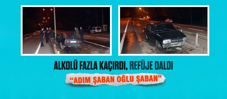 Alkolü fazla kaçırdı, refüje daldı
