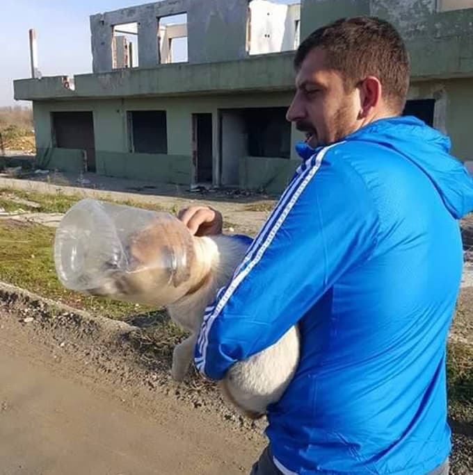 Kafası bidona sıkışan köpeği yardımseverler kurtardı